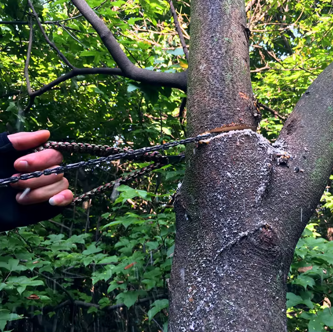 WildCut™ Pocket Saw